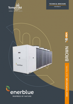 Brown Brochure
